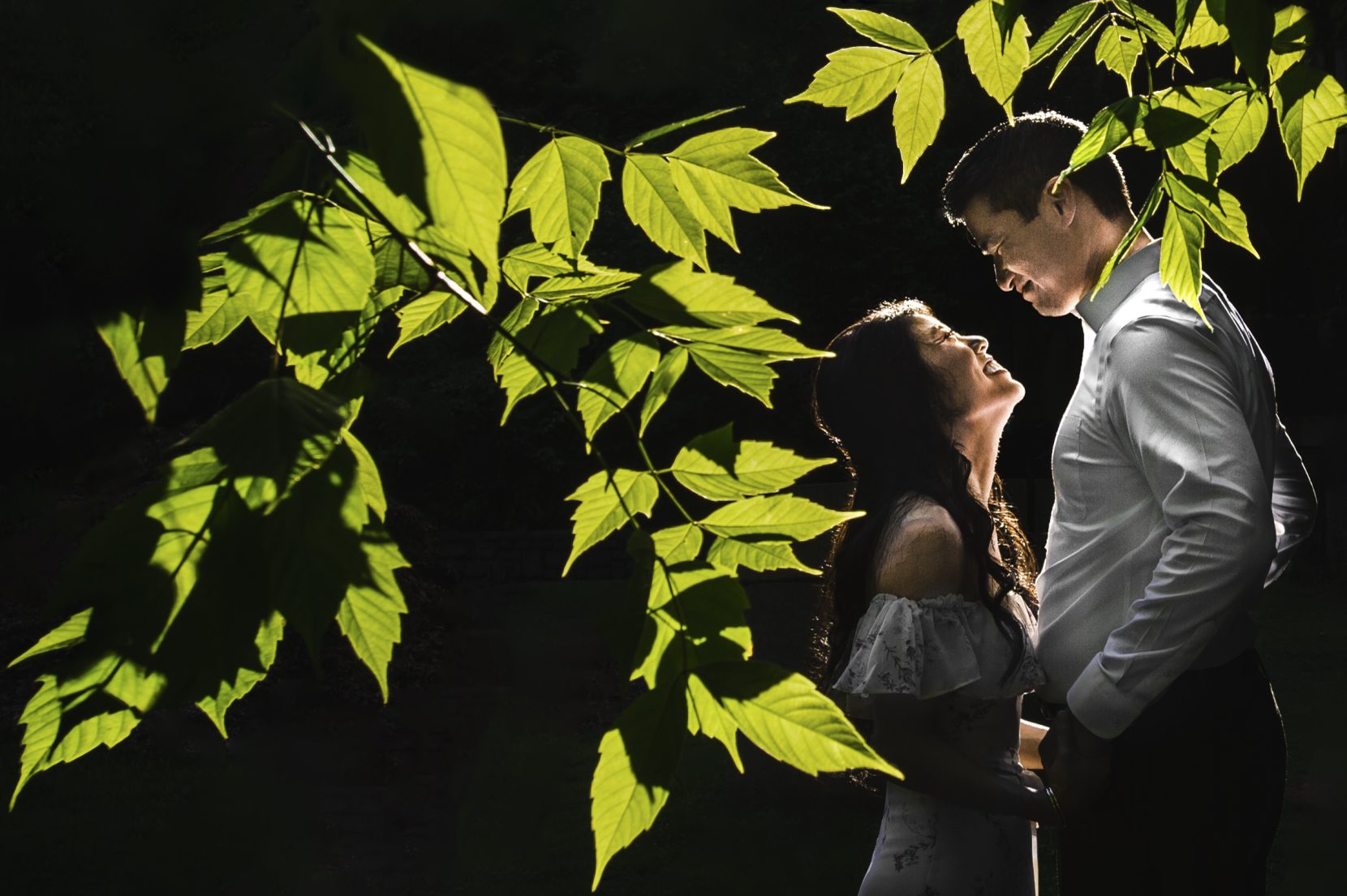 couple facing each other through backlit leaves