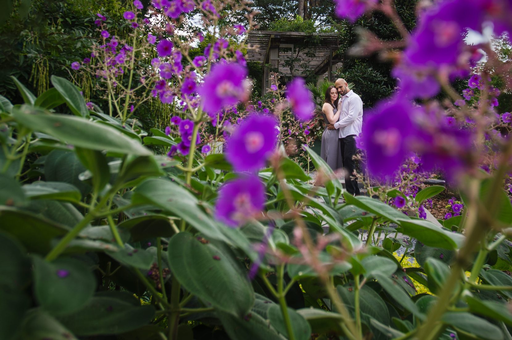 couple embrace through purple flowers