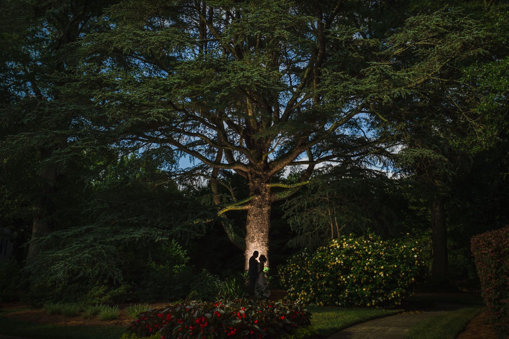 bride groom silhouette front of oak tree