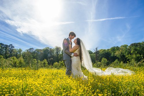 bride groom couple hugging blue skies and yellow flowers